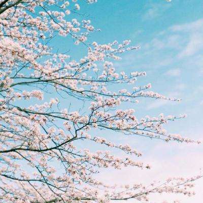 威斯尼斯wns888入